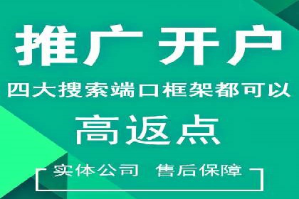 百度SEM广告投放效果评估的案例分析